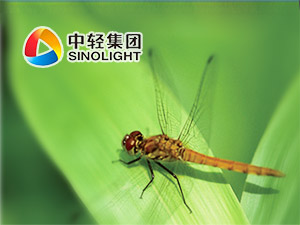 �p�����F(tu��n)�W(w��ng)վ���O(sh��)