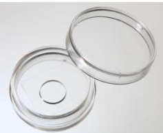 35mm 玻底培養(yǎng)皿，激光共聚焦專用培養(yǎng)皿